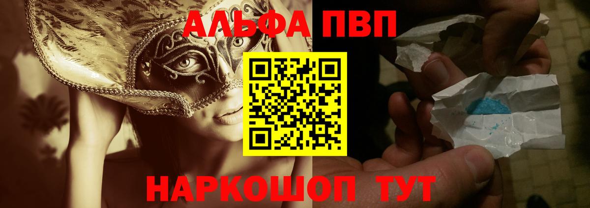 A PVP СК Новозыбков