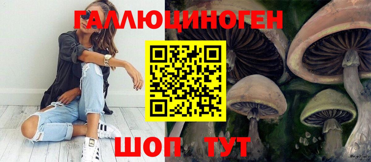 Галлюциногенные грибы мухоморы Новозыбков